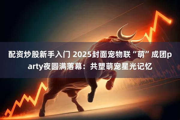 配资炒股新手入门 2025封面宠物联“萌”成团party夜圆满落幕：共塑萌宠星光记忆