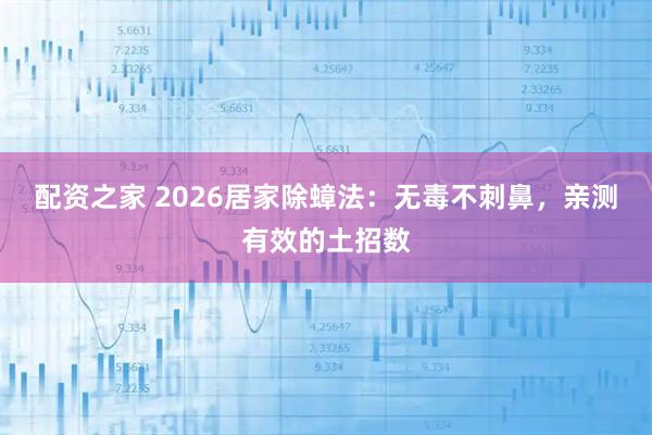 配资之家 2026居家除蟑法：无毒不刺鼻，亲测有效的土招数