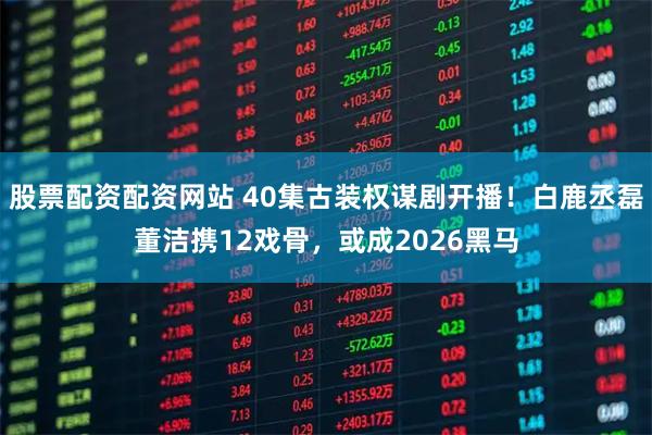 股票配资配资网站 40集古装权谋剧开播！白鹿丞磊董洁携12戏骨，或成2026黑马